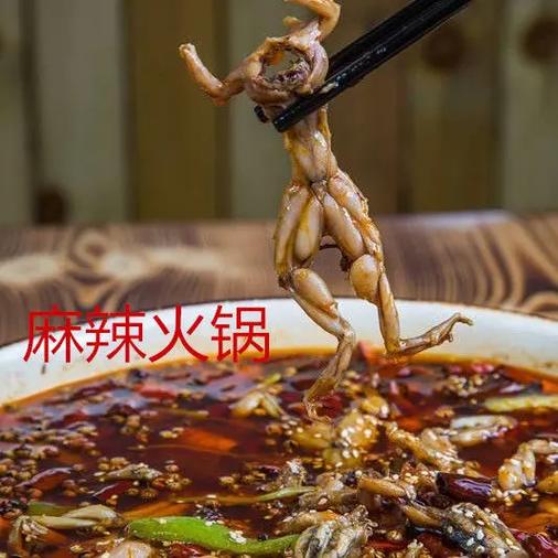 这就是农村的生活 黑斑蛙养殖 一份耕耘一份收获 加油